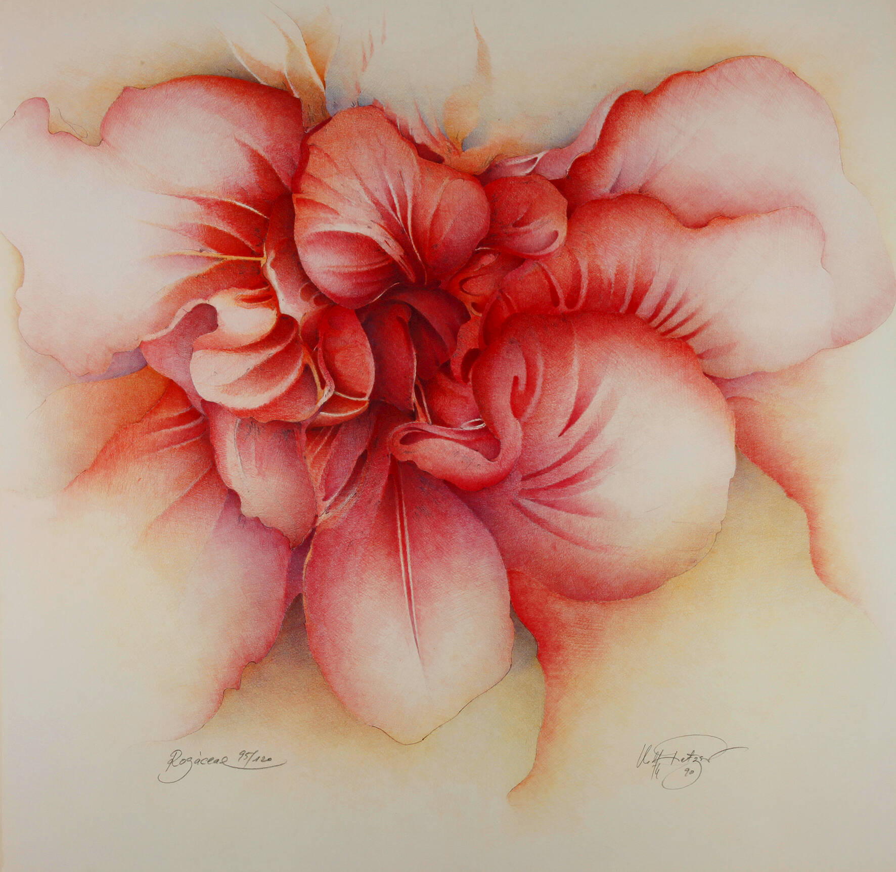 Wolfgang Fratscher "Rogáceae"