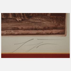 Prof. Ernst Fuchs, "Flora Okuli"