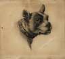 Robert Elliot, attr., Hundeportrait