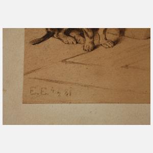 Elise Nees von Esenbeck, Der Zitherspieler