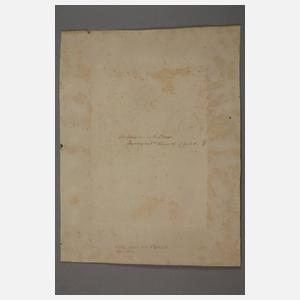 Elise Nees von Esenbeck, Der Zitherspieler