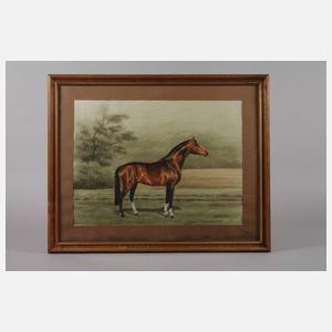 Dagmar von Fürstenberg, Pferdedarstellung