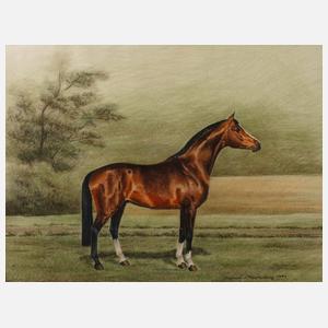 Dagmar von Fürstenberg, Pferdedarstellung