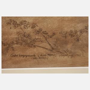 Prof. Hugo Gugg, Castel Lagopesole