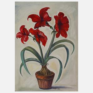 Friedrich Hellmich, Stillleben mit Amaryllis