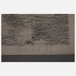 Udo Kaller, Hügelige Landschaft mit Baumgruppe