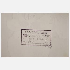 Prof. Albert Schaefer-Ast, Orchideenblüten