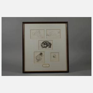 P. Seward, Hundestudien