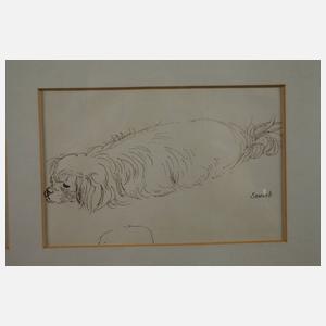 P. Seward, Hundestudien