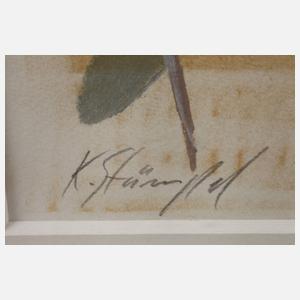 Prof. Klaus Stümpel, Federstillleben 2