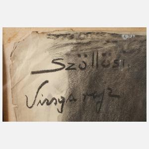 Janos Szöllösy, Paar Aktzeichnungen