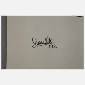 Shmuel Katz, Karikaturen zu Venedig