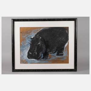 Catalina Braun, Flusspferd