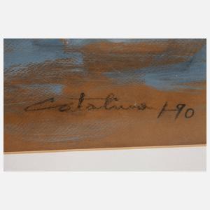 Catalina Braun, Flusspferd