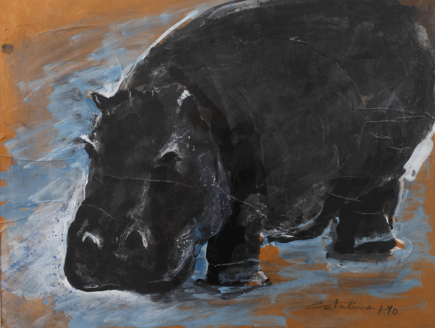 Catalina Braun, Flusspferd