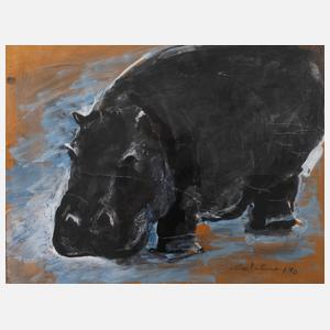 Catalina Braun, Flusspferd