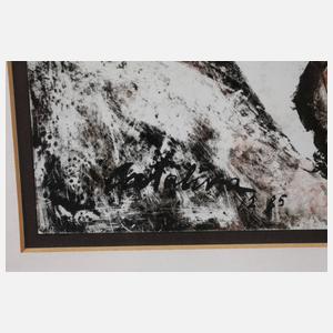 Catalina Braun, Tänzerin