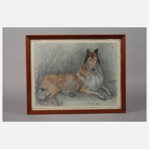 Maria Adler-Krafft, Collie