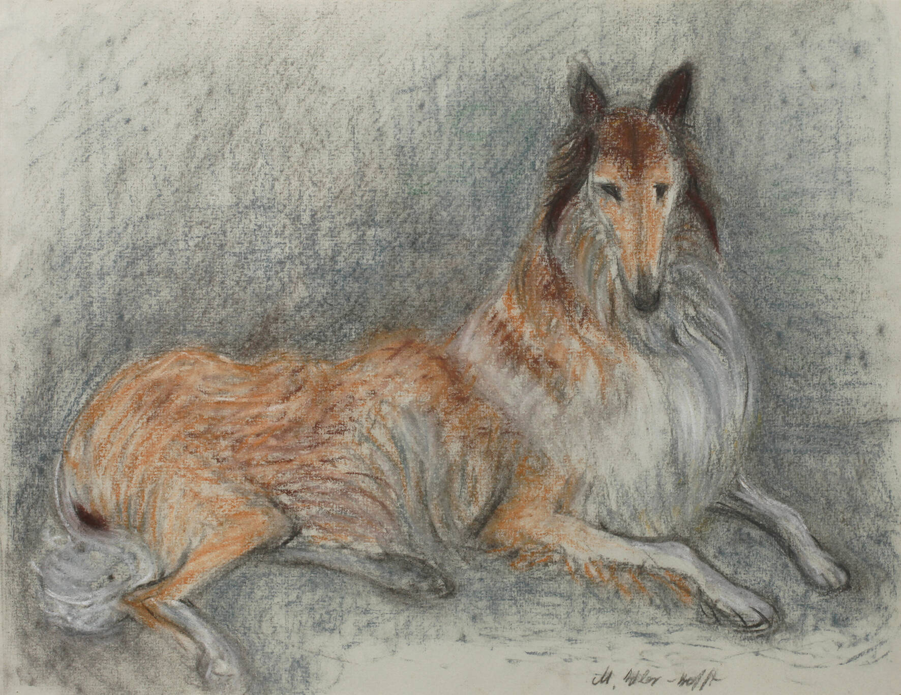 Maria Adler-Krafft, Collie
