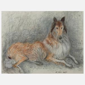 Maria Adler-Krafft, Collie