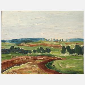 Fredo Bley, Frühlingshafte Vogtlandlandschaft