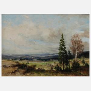 Manfred Feiler, Sommerlandschaft