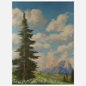 Minni Herzing, Sommerliche Gebirgswiese