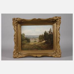 Herbert Röder, "Vogtland bei Schöneck"