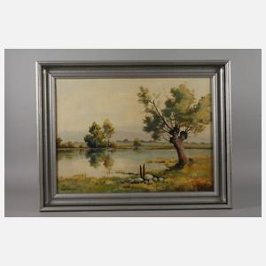 Karl Schmidt, Teichlandschaft