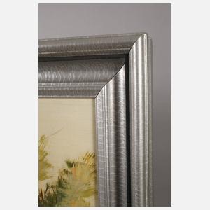 Karl Schmidt, Teichlandschaft