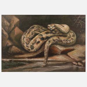 Otto Rudolf Schmidt, "Python"