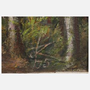 Otto Rudolf Schmidt, "Sternweg am Sonntag"