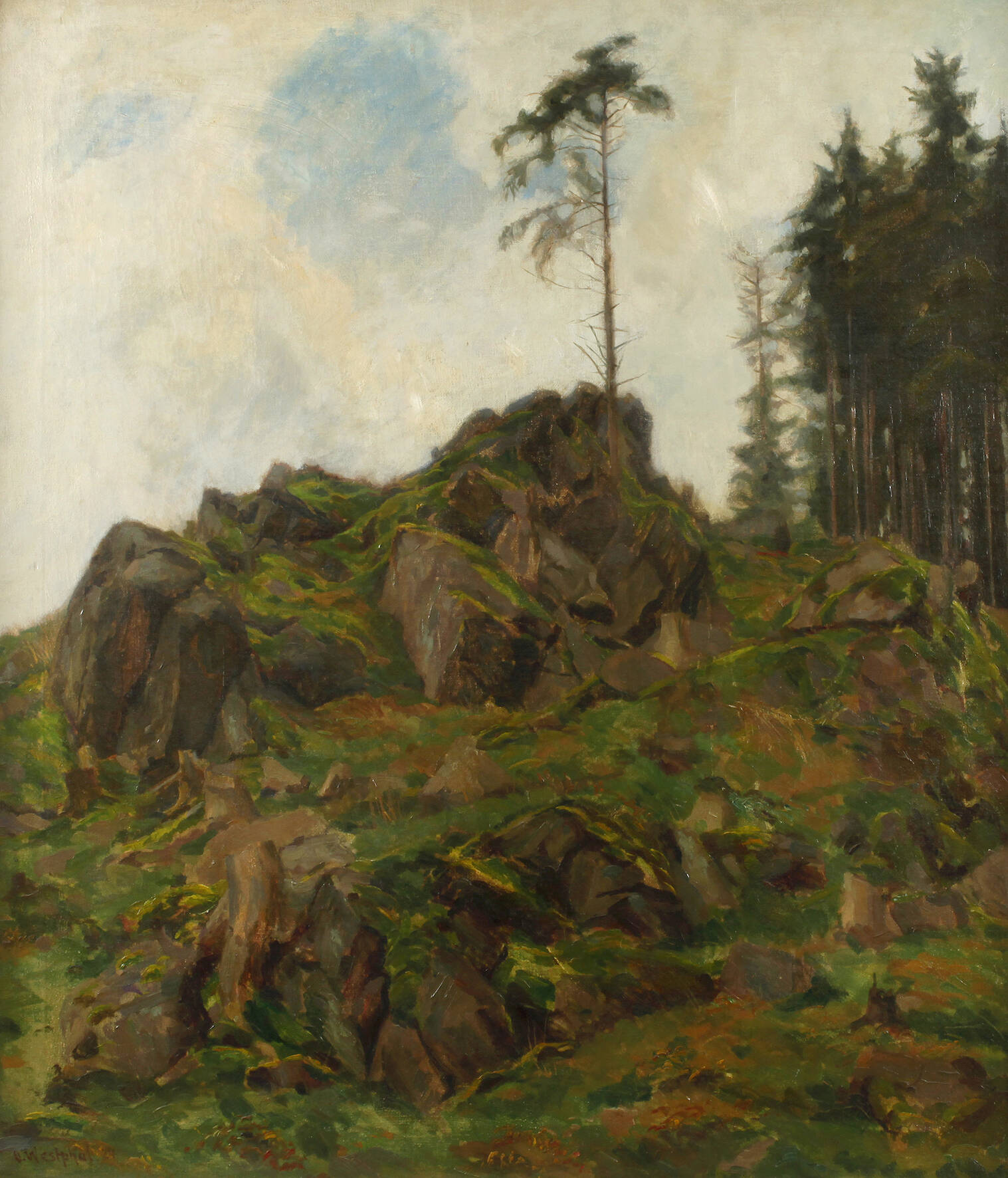 Otto Westphal, "Fichte auf Felsen"