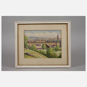 Konvolut Plauenansichten