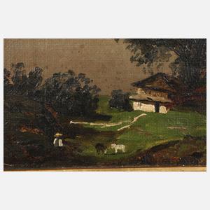 Sommerliche Hochgebirgslandschaft