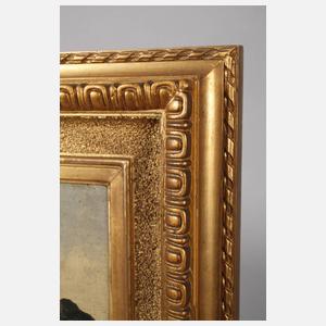 Sommerliche Hochgebirgslandschaft