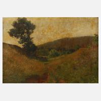 Prof. Karl Albert von Baur, "Wiesenstudie ..."111