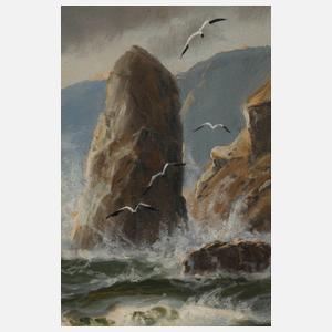 Max Jensen, Steilküste bei stürmischer See