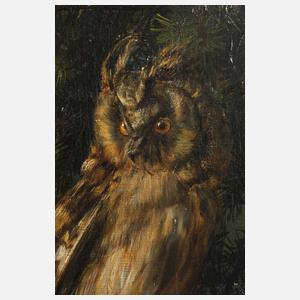 A. Wiemer, Eule im Baum