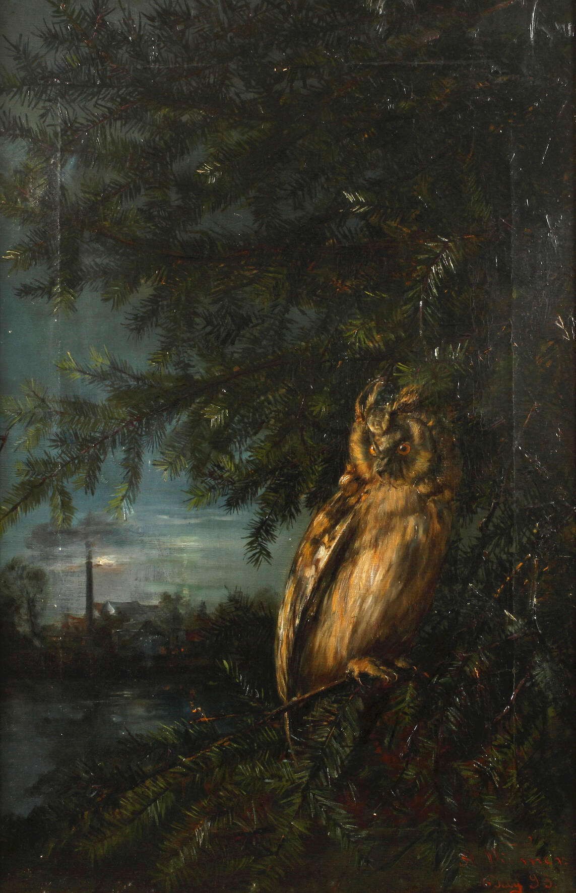 A. Wiemer, Eule im Baum