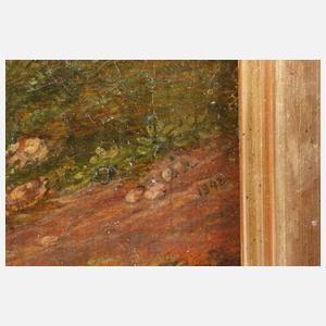 Romantische Gebirgslandschaft