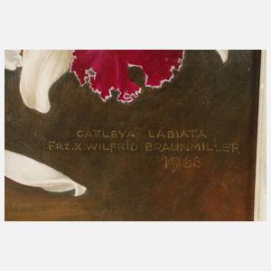 Franz Xaver Braunmiller, Orchideenblüten