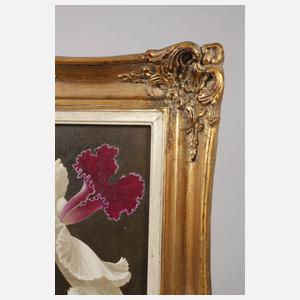 Franz Xaver Braunmiller, Orchideenblüten