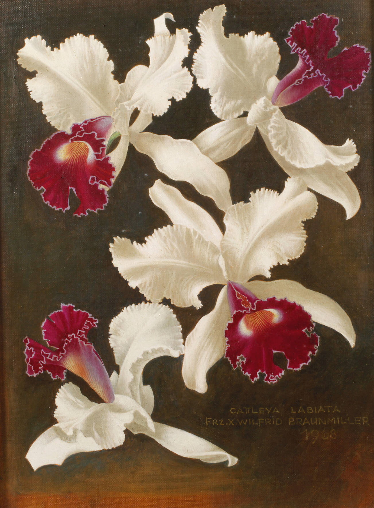 Franz Xaver Braunmiller, Orchideenblüten