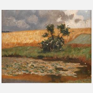 Prof. Franz Bunke, Am Seerosenteich