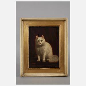 Alexandre Clarys, Katzenportrait