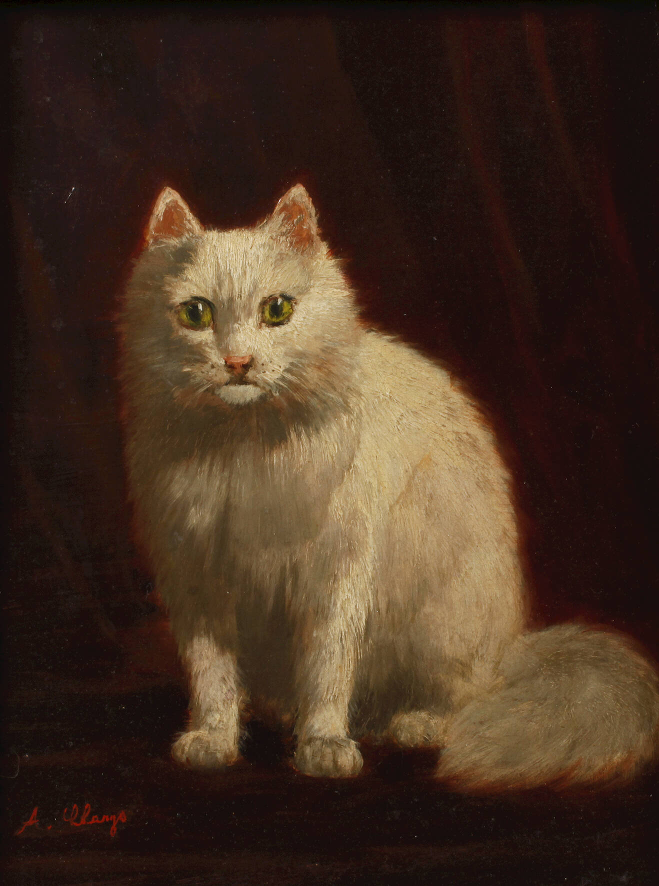 Alexandre Clarys, Katzenportrait