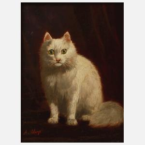 Alexandre Clarys, Katzenportrait