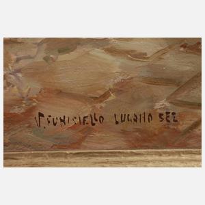 Vincenzo Funiciello, Am Luganer See