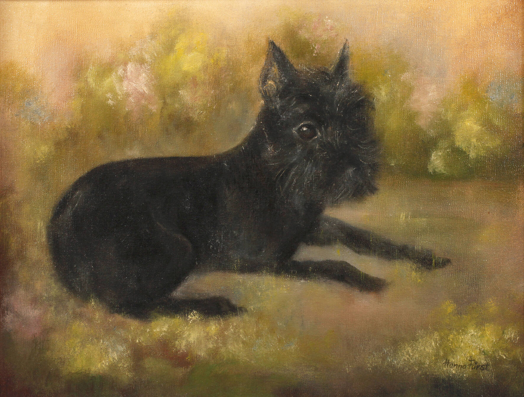 Hanna Fürst, Hundeportrait